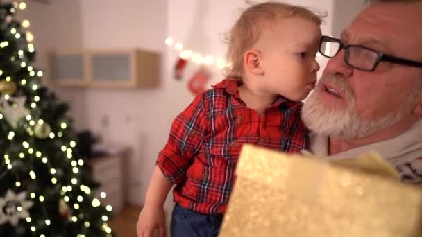 Büyükbaba ve torun, Noel portresi. Çocuk Noel ağacının arkasında büyükbabasını öpüyor. Hediye kutusu tutan bir adam. — Stok video