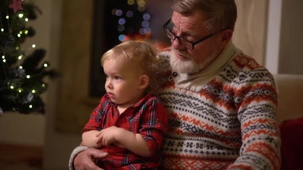 Großvater und Enkel amüsieren sich am Kamin und am Weihnachtsbaum. Weihnachten feiern, Familientradition — Stockvideo