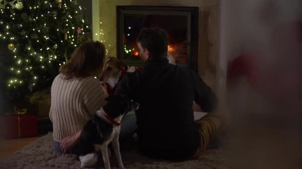 The husband and wife are sitting on the floor near a burning fireplace. Back view. Celebrating Christmas concept. Christmas and social distance — Stock Video