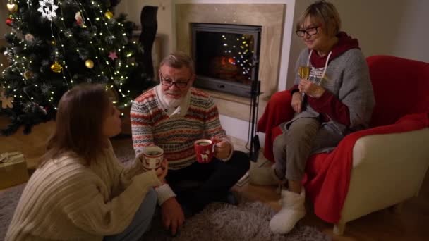 Una familia amigable celebra la Navidad junto a la chimenea. La hija adulta y sus padres en la noche de Navidad. Árbol de Navidad en el interior — Vídeos de Stock