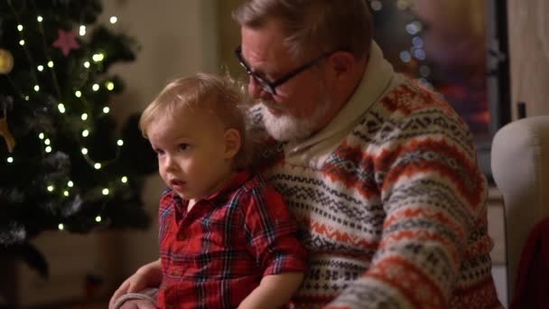 Weihnachten feiern. Großvater und Enkel sitzen in einem gemütlichen Sessel neben dem Weihnachtsbaum. Familientraditionen — Stockvideo