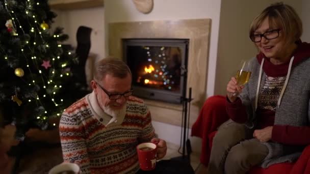 Noel arifesinde Noel ailesi şöminenin yanında toplandı. Yaşlı ebeveynler, yetişkin bir kızı ve iki genç torunu var. Gençler akıllı telefonlarıyla meşgulken yetişkinler çay içiyor. — Stok video