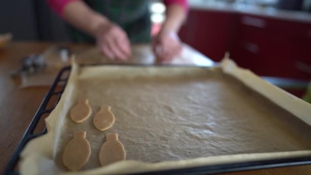 Manos de panadero femenino mostrando bandeja con galletas, receta de pan de jengibre. El pensionista coloca galletas crudas en una bandeja para hornear. Tradiciones caseras, galletas de Navidad — Vídeos de Stock