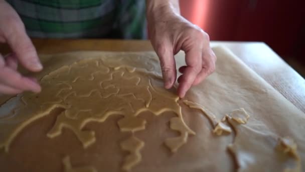 Bolos caseiros, tradições familiares. Avó faz biscoitos para netos, biscoitos de gengibre de Natal — Vídeo de Stock