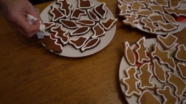 Handen van vrouwelijke bakker versieren kerstkoekjes voor haar kleinkinderen met suikerglazuur. Familietradities, zelfgebakken producten — Stockvideo