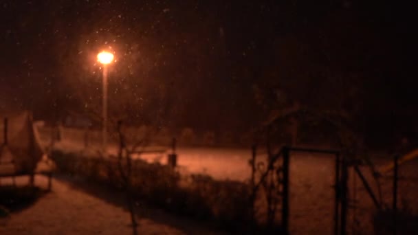 Hó hullik az égből éjszaka esik a fény egy utcai lámpa, nagy hópelyhek lassan esik létre gyönyörű csillogás a keretben. Karácsonyi hangulat — Stock videók