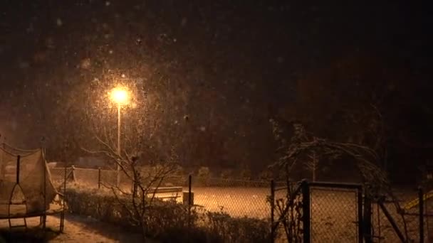 Neve como o cotão nos ramos da árvore. Lâmpada de rua à noite no fundo é turva. Reprodução de vídeo acelerada. Conto de invernos, início do inverno. Noite de Natal — Vídeo de Stock