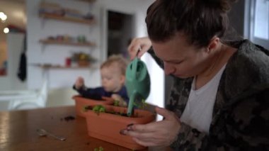 Bir anne ve küçük oğlu saksılara fidanlar dikiyorlar. Bebek annesine yardım ediyor, çocuklar boş zaman konsepti, anneler günü