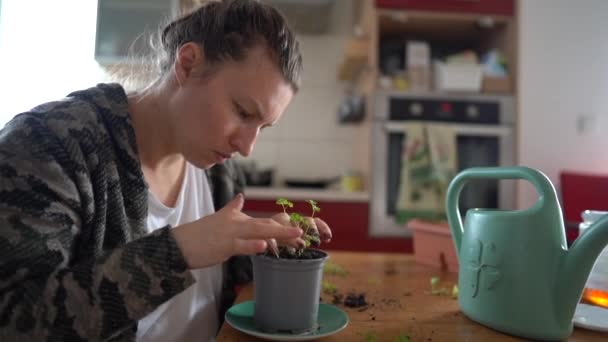 Портрет молодой домохозяйки, сажающей саженцы в цветочный горшок на кухне. Ростки петрушки, огород на подоконнике — стоковое видео
