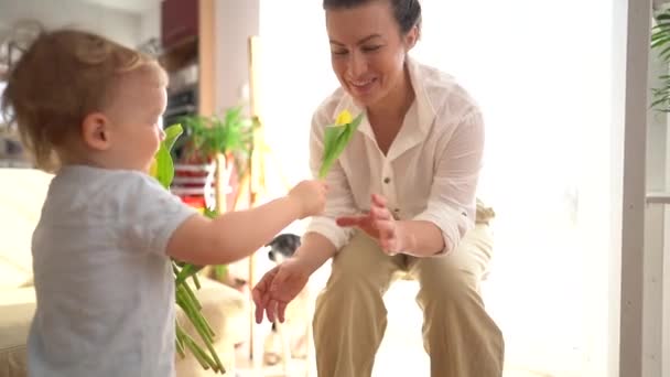 Cute toddler boy carries a bouquet of yellow tulips to his mother. Indoor portrait. Mother and son celebrating mothers day — Stock Video