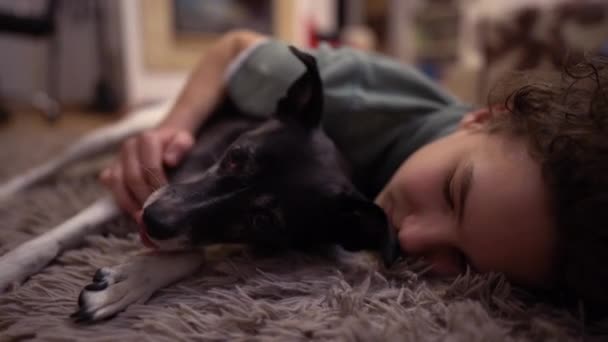 Лежачий підліток, що лежить на підлозі, обіймає свого собаку. Хлопчик і його чорно-біла чапля, хлопчик і собака. — стокове відео
