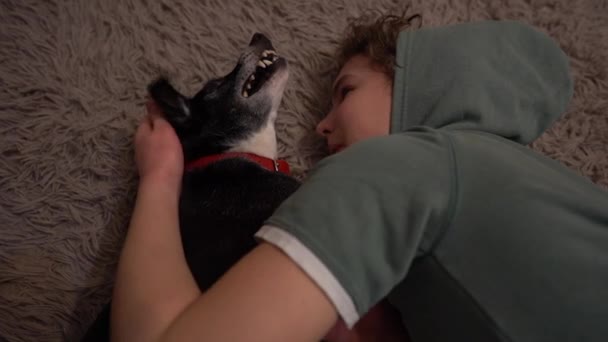 The boy and the dog lie on the carpet and have fun together. Children and their pets, stay at home concept — Stock Video