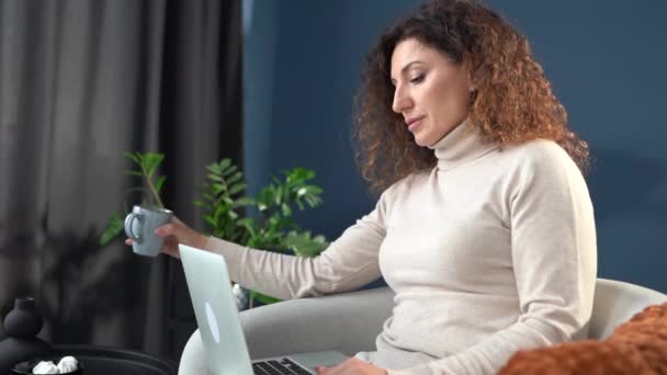 Portrait of young woman sitting in armchair with laptop computer, drinking coffee, looking at screen. Pretty lady working on her laptop while staying home — ストック動画