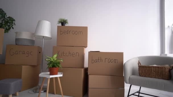 Close up of packed signed boxes and other things prepared for relocation. Cardboard boxes signed bathroom and kitchen. Green plant. Sorted cartons by category. House moving and relocation concept — Stock Video