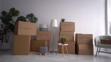 Mukavva kutular imzalı banyo ve mutfak. Yeşil bitki. Kutuları kategorilere göre sıraladım. Ev taşıma ve taşınma konsepti. Paketlenmiş imzalı kutuları ve taşınmaya hazırlanan diğer şeyleri kapat