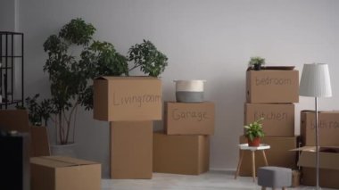 Mukavva kutular imzalı banyo ve mutfak. Yeşil bitki. Kutuları kategorilere göre sıraladım. Ev taşıma ve taşınma konsepti. Paketlenmiş imzalı kutuları ve taşınmaya hazırlanan diğer şeyleri kapat