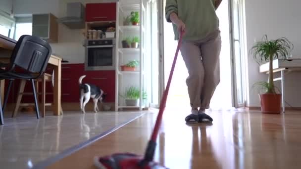 Encantadora ama de casa fregona el suelo y disfruta de la música con auriculares inalámbricos. Mujer joven haciendo limpieza de la casa mientras baila — Vídeos de Stock