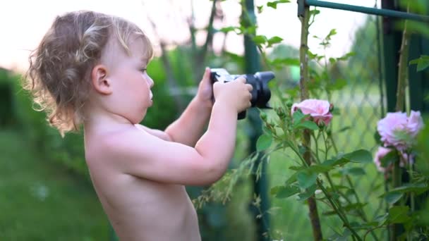 Curly blond kid takes pictures of flowers in the courtyard of a village house or cottage. Funny video, little photographer, family vacation concept — Stock Video