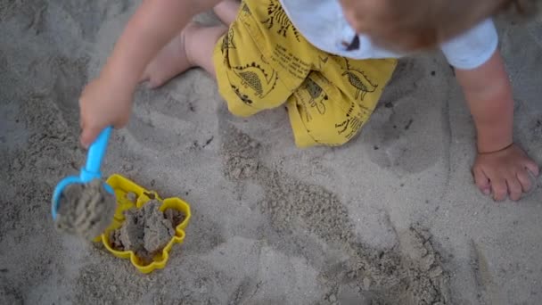 Vista superior de un niño jugando en una caja de arena con una cucharada y un molde de plástico. Vacaciones de verano y concepto de infancia feliz — Vídeos de Stock