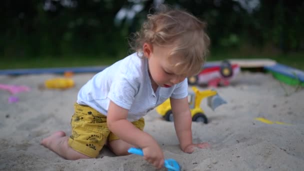 Çocuk plastik oyuncaklar ve kumla oynamayı seviyor. Mutlu ve coşkulu kıvırcık saçlı çocuk kum havuzunda tek başına oynuyor. — Stok video