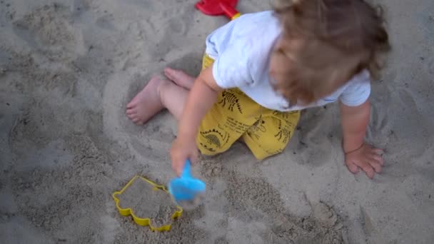 Yukarıdan bak. Çocuk plastik oyuncaklar ve kumla oynamayı seviyor. Mutlu ve coşkulu kıvırcık saçlı çocuk kum havuzunda tek başına oynuyor. Çocukluk, aile ve yaz konsepti — Stok video
