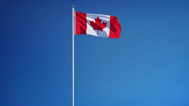 Canada flag in slow motion seamlessly looped with alpha — Stock video