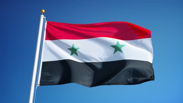 Syria flag in slow motion seamlessly looped with alpha — Stock Video