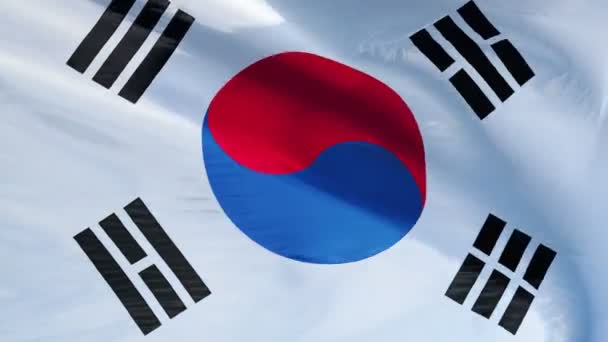 South Korea flag in slow motion seamlessly looped with alpha — Stock Video