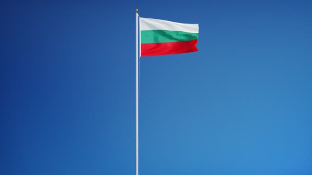 保加利亚国旗在慢动作中的无缝环与阿尔法 — 图库视频影像