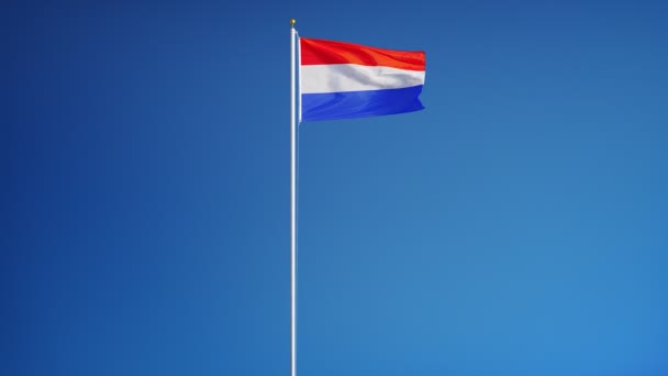 Flaga Holandii w zwolnionym tempie bezproblemowo zapętlony z alfa — Wideo stockowe
