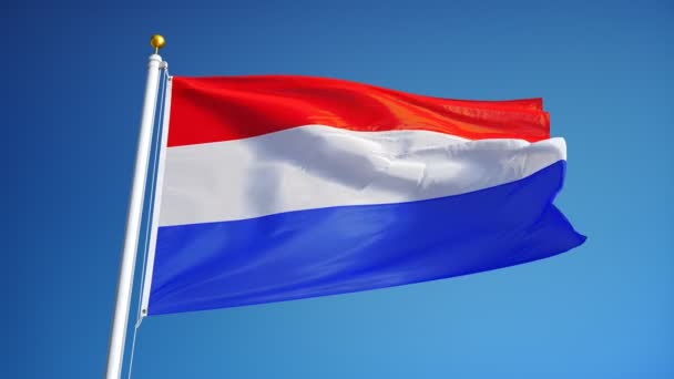 Holland flag in slow motion seamlessly looped with alpha — Stock Video