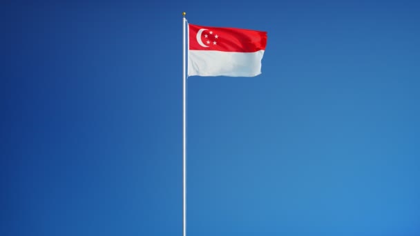 Singapore-Flagge in Zeitlupe, nahtlos mit Alpha verbunden — Stockvideo