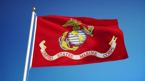 Bandera del Cuerpo de Infantería de Marina de los Estados Unidos en cámara lenta en bucle continuo con alfa — Vídeos de Stock