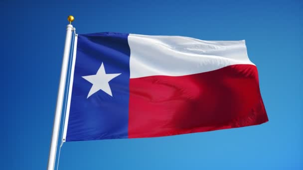 Bandeira do Texas em câmera lenta perfeitamente looped com alfa — Vídeo de Stock