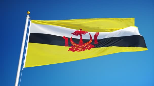 Brunei flag in slow motion seamlessly looped with alpha — Stock Video