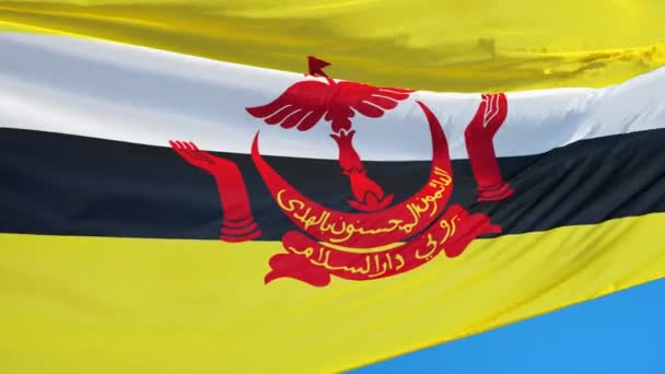 Bandiera Brunei al rallentatore perfettamente in loop con alfa — Video Stock