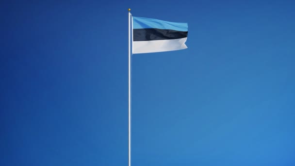 Флаг Эстонии в замедленной съемке зациклен на альфе — стоковое видео