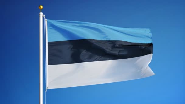 Estonia flag in slow motion seamlessly looped with alpha — Stock Video