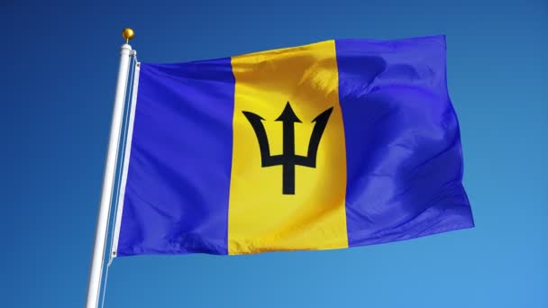 Bandera de Barbados en cámara lenta perfectamente en bucle con alfa — Vídeos de Stock