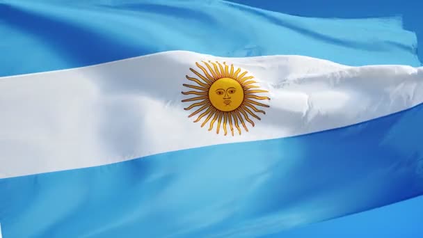 Bandeira da Argentina em câmera lenta perfeitamente looped com alfa — Vídeo de Stock