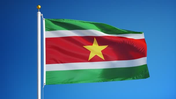 Suriname Flagge in Zeitlupe, nahtlos mit Alpha verbunden — Stockvideo