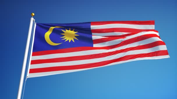 Flaga Malezji w zwolnionym tempie bezproblemowo zapętlony z alfa — Wideo stockowe