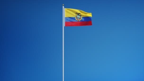 Ecuador flag in zeitlupe nahtlos mit alpha — Stockvideo