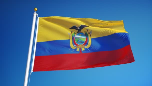 Флаг Эквадора в замедленной съемке зациклен на альфе — стоковое видео