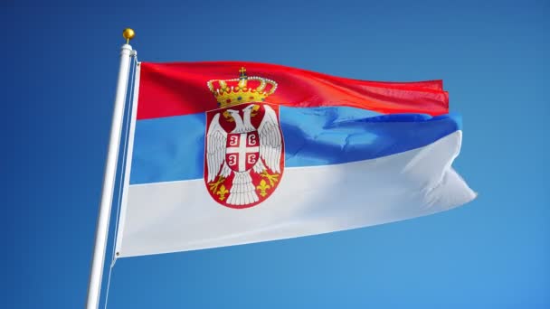 Прапор Сербії в повільному плавно петельні з альфа — стокове відео