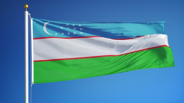 Usbekistan-Flagge in Zeitlupe nahtlos mit Alpha — Stockvideo