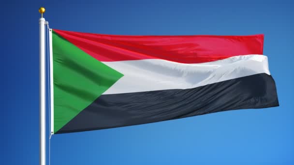 Прапор Судану у повільному плавно петельні з альфа — стокове відео