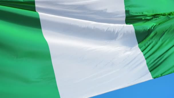 Nigeria flag in slow motion seamlessly looped with alpha — Stock Video