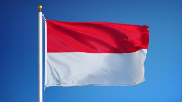 Σημαία της Ινδονησίας σε αργή κίνηση looped απρόσκοπτα με άλφα — Αρχείο Βίντεο