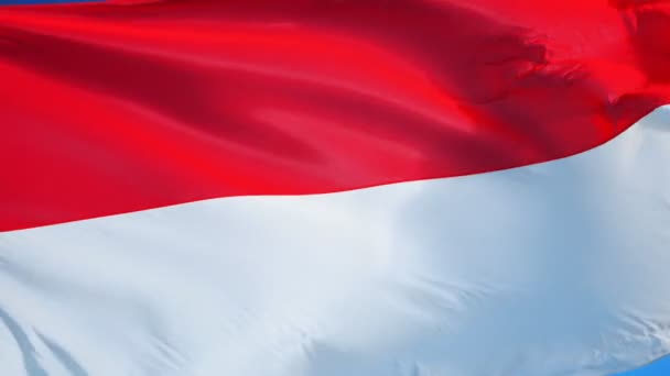 スローモーションでインドネシアの国旗はアルファとシームレスにループ — ストック動画